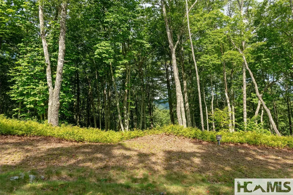 Lot 98 Blazing Star Drive Glenville NC 28736