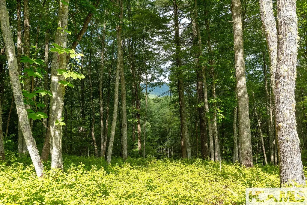 Lot 98 Blazing Star Drive Glenville NC 28736