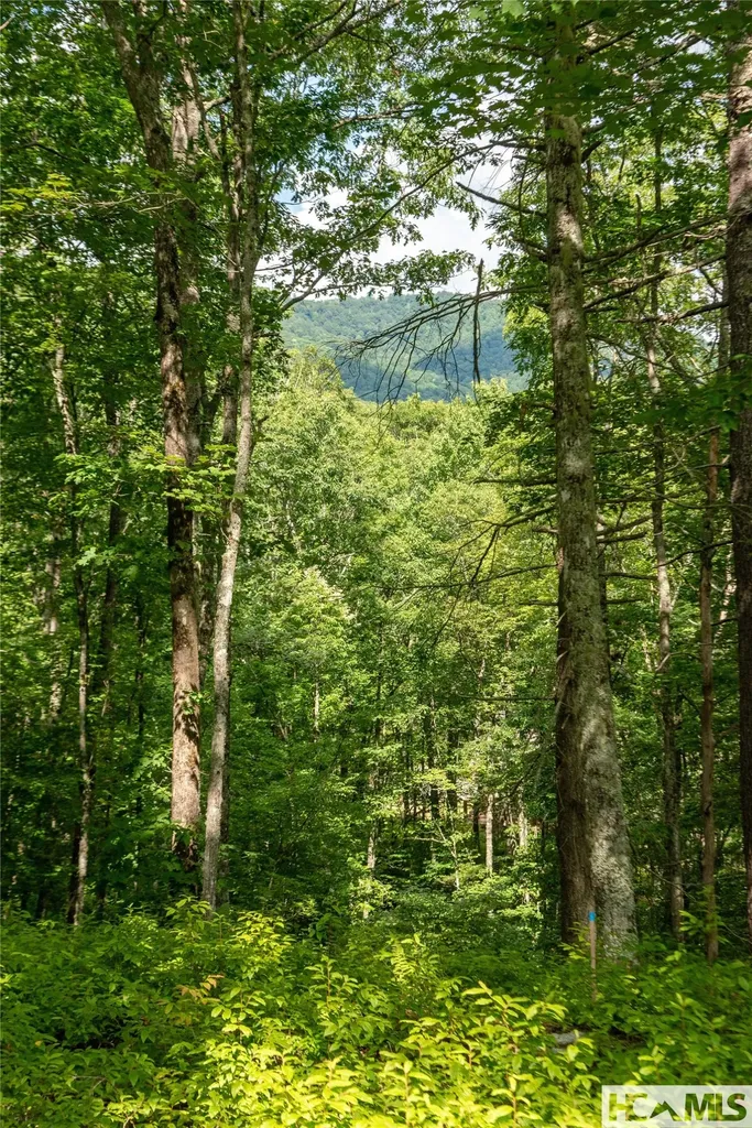 Lot 98 Blazing Star Drive Glenville NC 28736