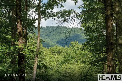 Lot 98 Blazing Star Drive Glenville NC 28736