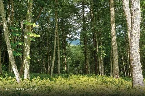 Lot 98 Blazing Star Drive Glenville NC 28736