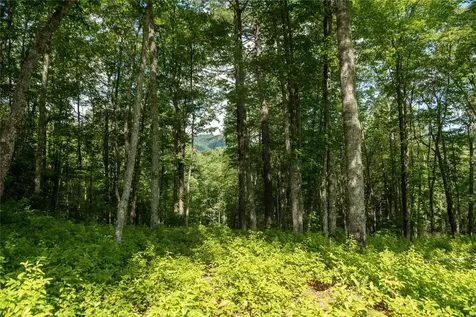 Lot 98 Blazing Star Drive Glenville NC 28736