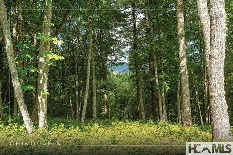 Lot 98 Blazing Star Drive Glenville NC 28736
