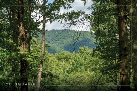 Lot 98 Blazing Star Drive Glenville NC 28736