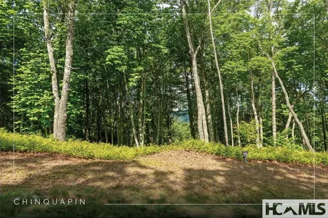 Lot 98 Blazing Star Drive Glenville NC 28736