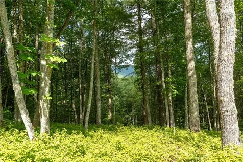 Lot 98 Blazing Star Drive Glenville NC 28736