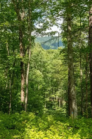 Lot 98 Blazing Star Drive Glenville NC 28736