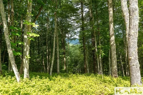 Lot 98 Blazing Star Drive Glenville NC 28736