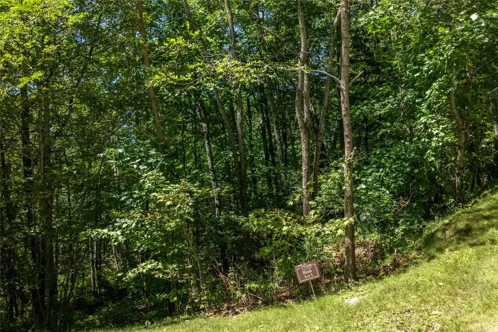 Lt 1&2 Trillium Ridge Road Cullowhee NC 28723