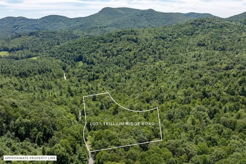 Lt 1&2 Trillium Ridge Road Cullowhee NC 28723