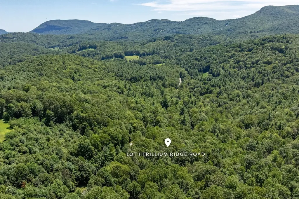 Lt 1&2 Trillium Ridge Road Cullowhee NC 28723
