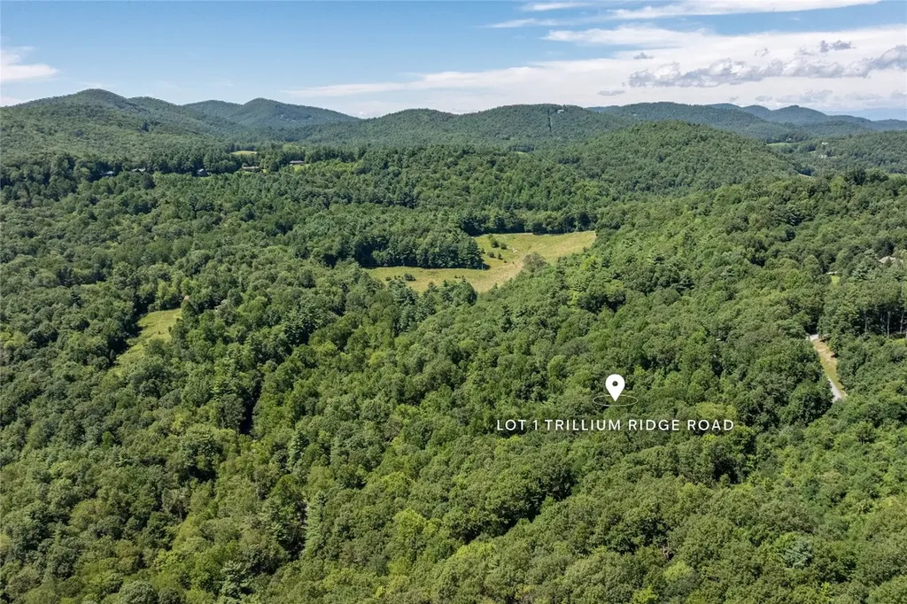 Lt 1&2 Trillium Ridge Road Cullowhee NC 28723