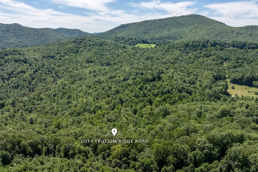 Lt 1&2 Trillium Ridge Road Cullowhee NC 28723