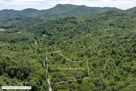 Lt 1&2 Trillium Ridge Road Cullowhee NC 28723