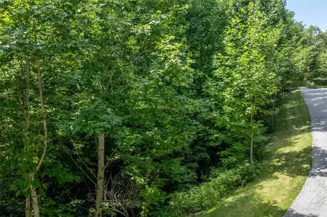 Lt 1&2 Trillium Ridge Road Cullowhee NC 28723