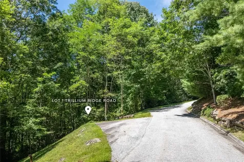 Lt 1&2 Trillium Ridge Road Cullowhee NC 28723