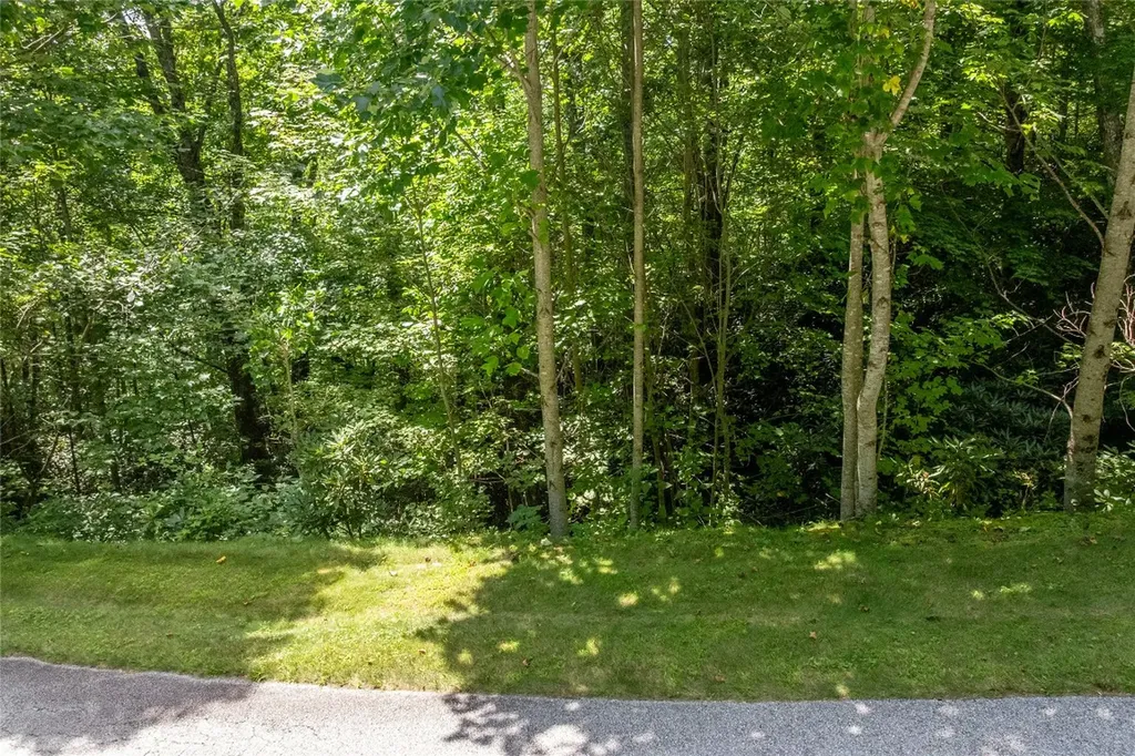 Lot 2 Trillium Ridge Road Cullowhee NC 28723