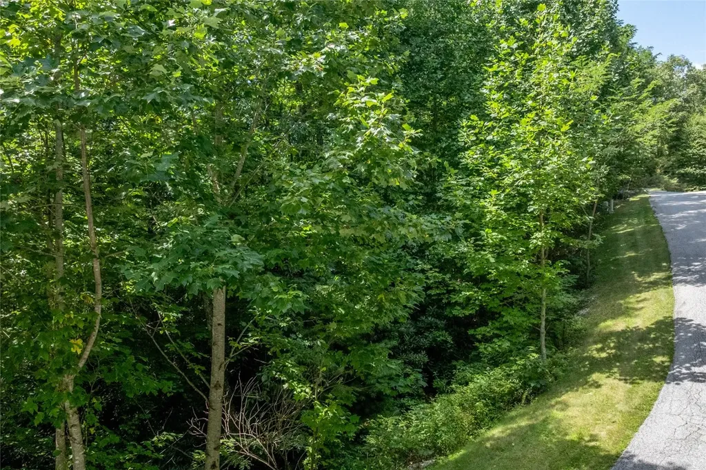 Lot 2 Trillium Ridge Road Cullowhee NC 28723