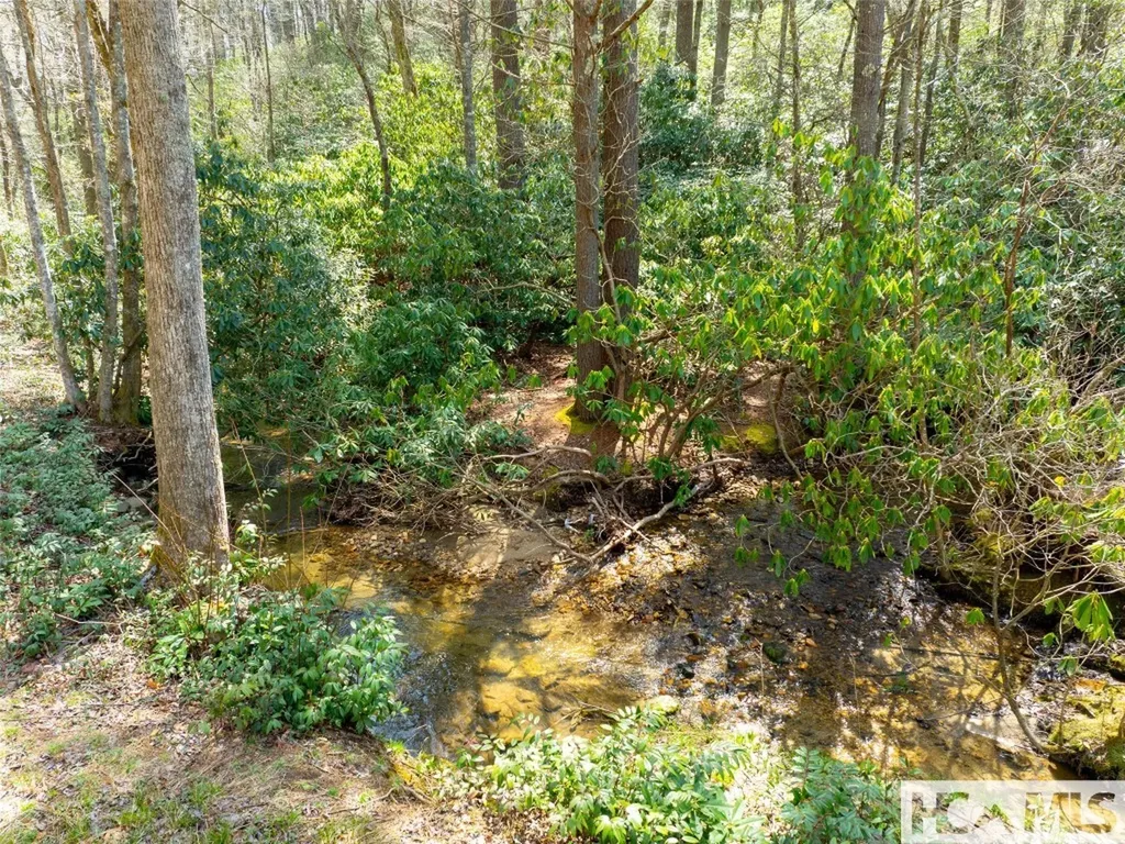 140 Hangin Dog Lane Lake Toxaway NC 28747