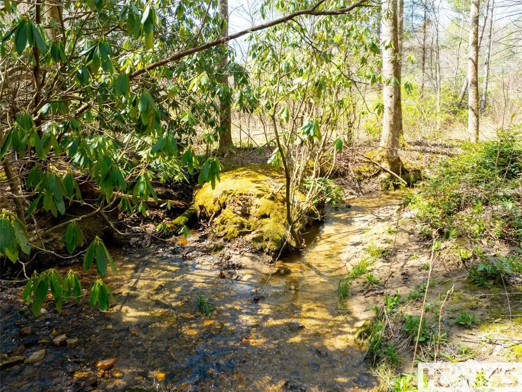 140 Hangin Dog Lane Lake Toxaway NC 28747