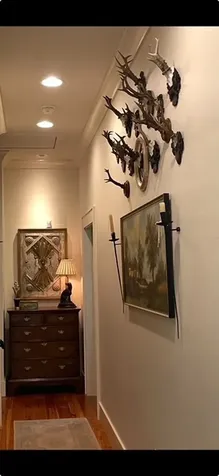 1442 Owl Gap Road Highlands NC 28741