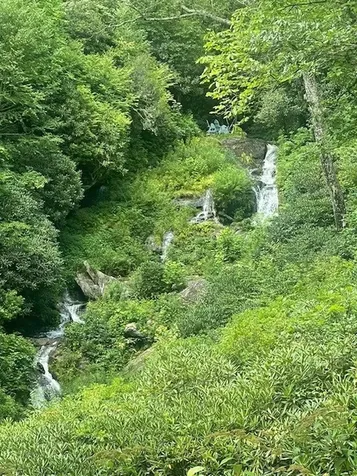 1442 Owl Gap Road Highlands NC 28741