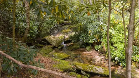 1442 Owl Gap Road Highlands NC 28741