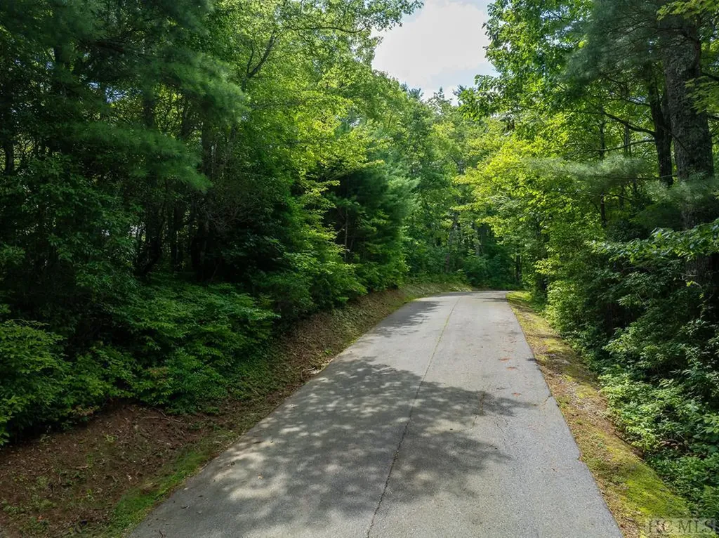 Lot 10 Deep Ford Falls Lake Toxaway NC 28747