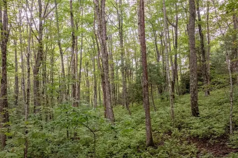 Lot 22 New Settler's Way Glenville NC 28736