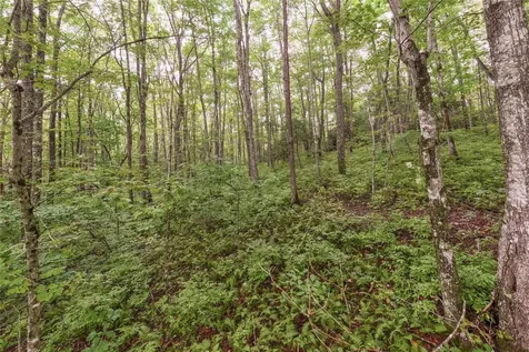 Lot 22 New Settler's Way Glenville NC 28736