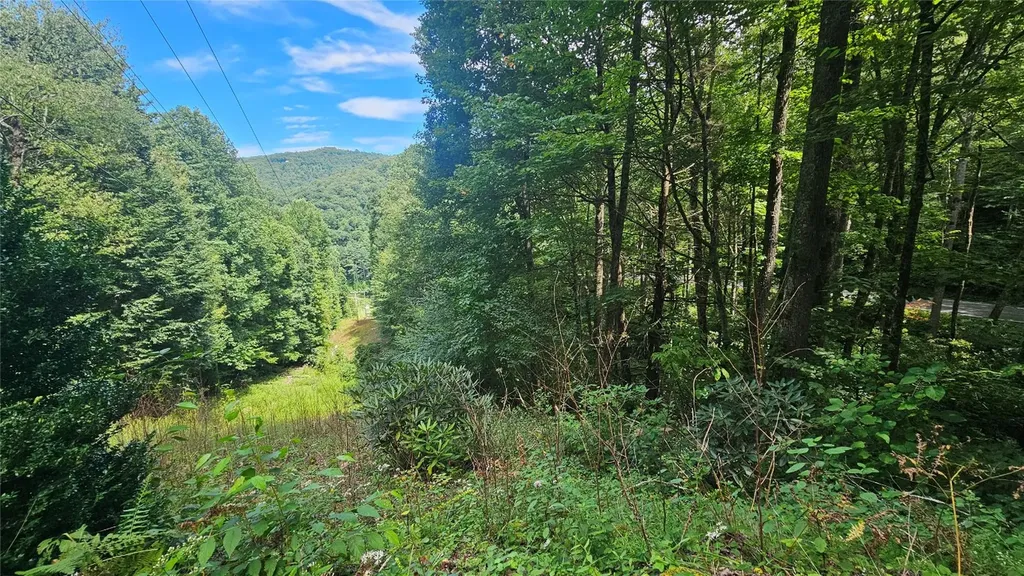 17 Moon Time Drive Cullowhee NC 28723