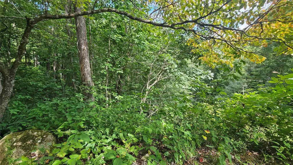 17 Moon Time Drive Cullowhee NC 28723