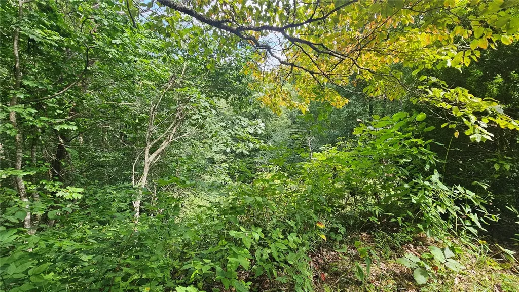 17 Moon Time Drive Cullowhee NC 28723