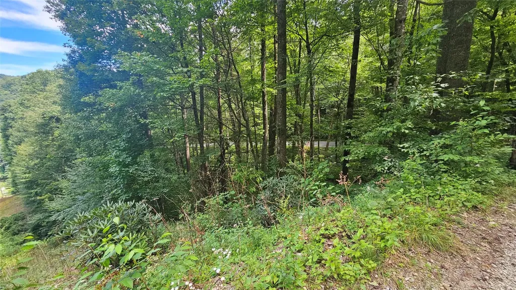 17 Moon Time Drive Cullowhee NC 28723