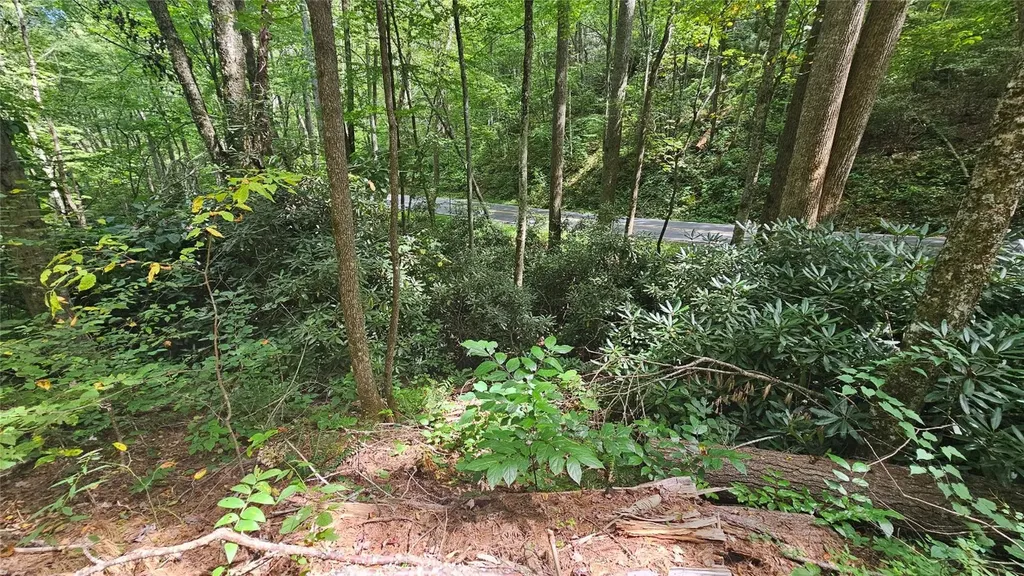 17 Moon Time Drive Cullowhee NC 28723