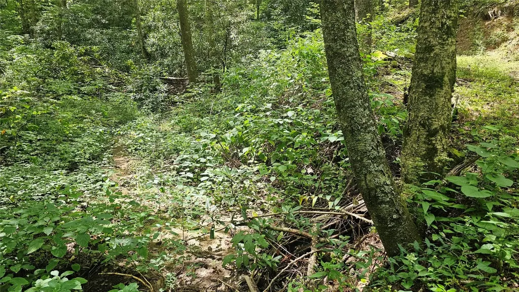 17 Moon Time Drive Cullowhee NC 28723