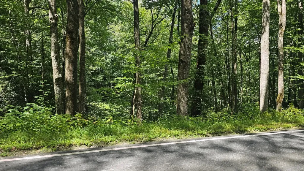 17 Moon Time Drive Cullowhee NC 28723