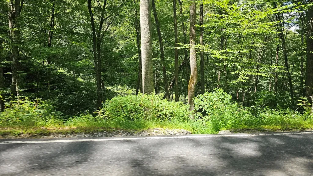 17 Moon Time Drive Cullowhee NC 28723