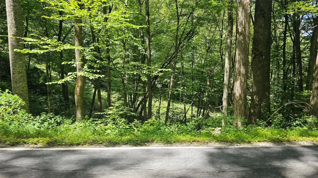 17 Moon Time Drive Cullowhee NC 28723