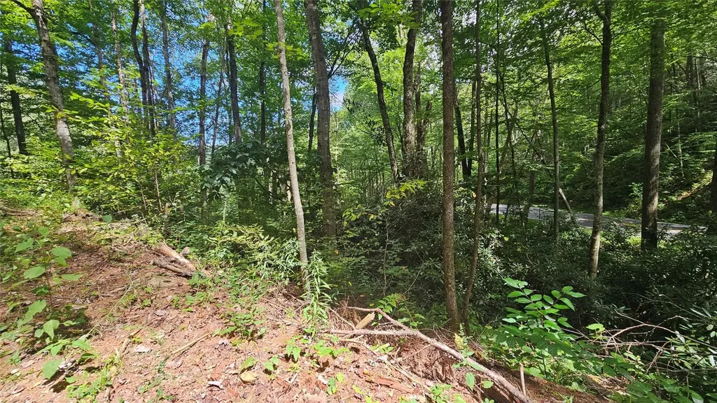 17 Moon Time Drive Cullowhee NC 28723