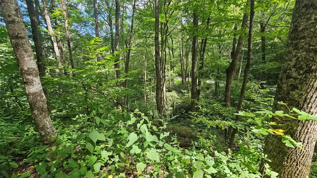 17 Moon Time Drive Cullowhee NC 28723