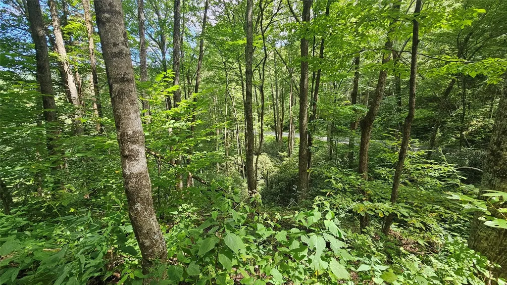 17 Moon Time Drive Cullowhee NC 28723