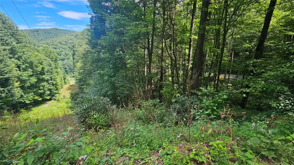 17 Moon Time Drive Cullowhee NC 28723