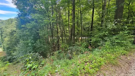 17 Moon Time Drive Cullowhee NC 28723