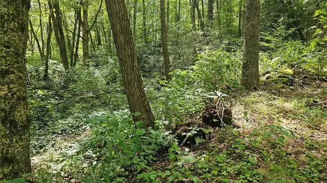 17 Moon Time Drive Cullowhee NC 28723