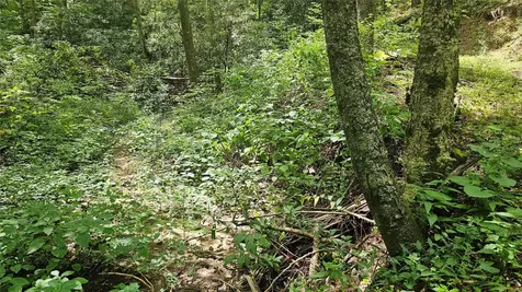 17 Moon Time Drive Cullowhee NC 28723