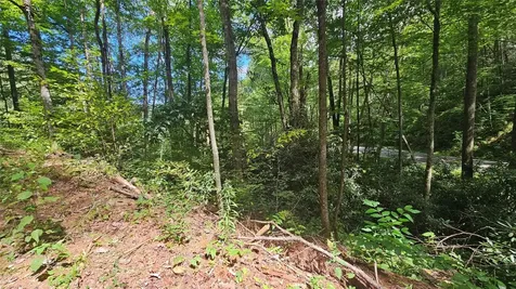 17 Moon Time Drive Cullowhee NC 28723