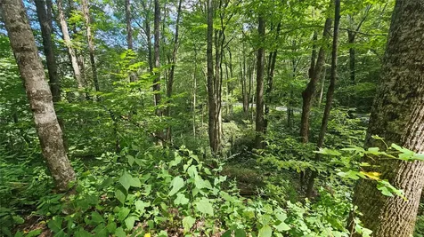 17 Moon Time Drive Cullowhee NC 28723