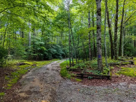 00 Little Terrapin Road Cashiers NC 28717