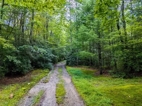 00 Little Terrapin Road Cashiers NC 28717
